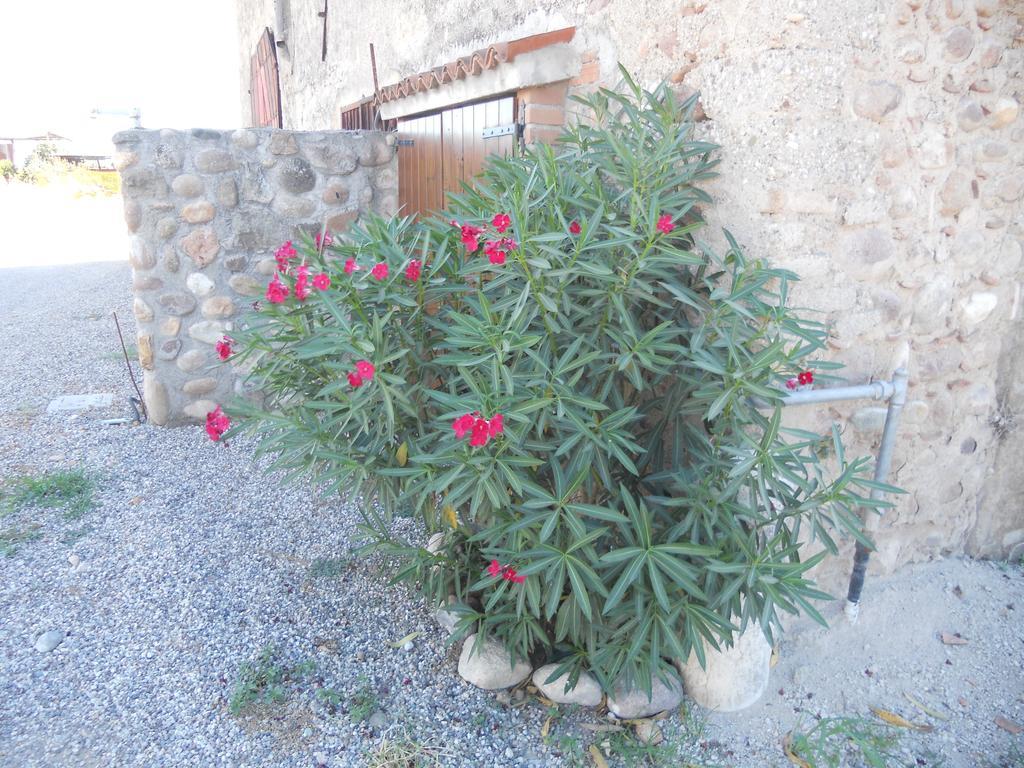 ヴァレッジョ・スル・ミンチョ Agriturismo Le Mura Del Gherloヴィラ エクステリア 写真